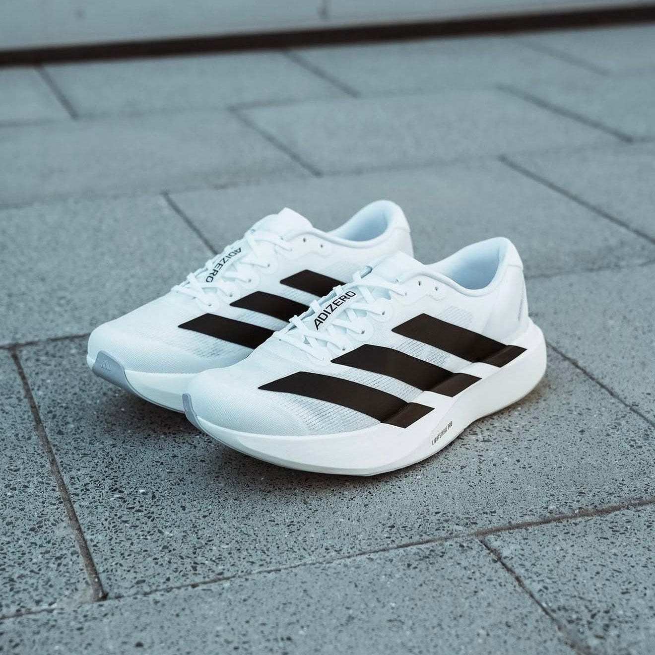 Adidas Adizero Evo SL  "Black White"